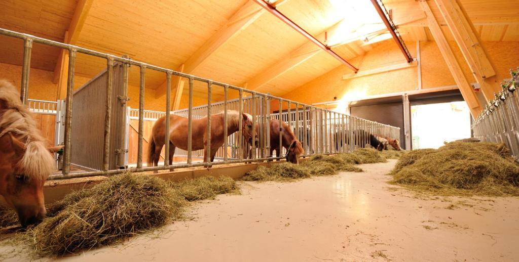 Bodenhof Ferienwohnungen Fieberbrunn Εξωτερικό φωτογραφία