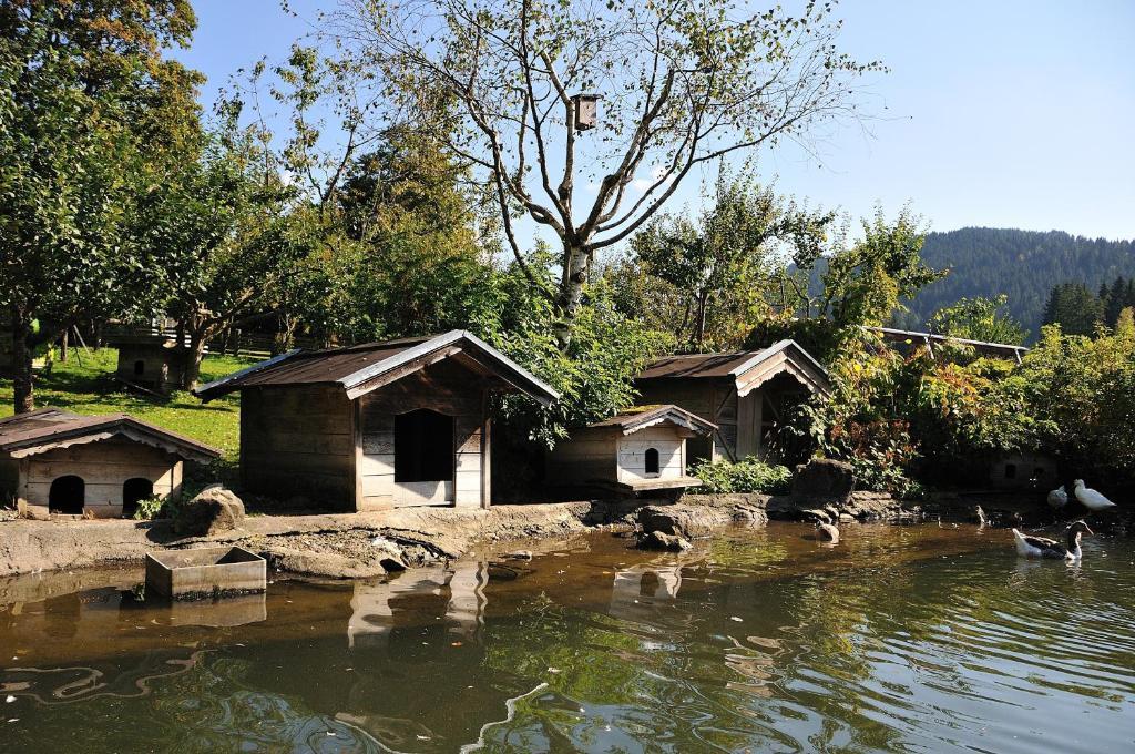 Bodenhof Ferienwohnungen Fieberbrunn Εξωτερικό φωτογραφία